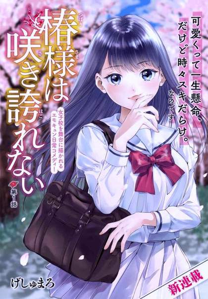 A Princesa Tsubaki Não Se Acabam as Esperanças